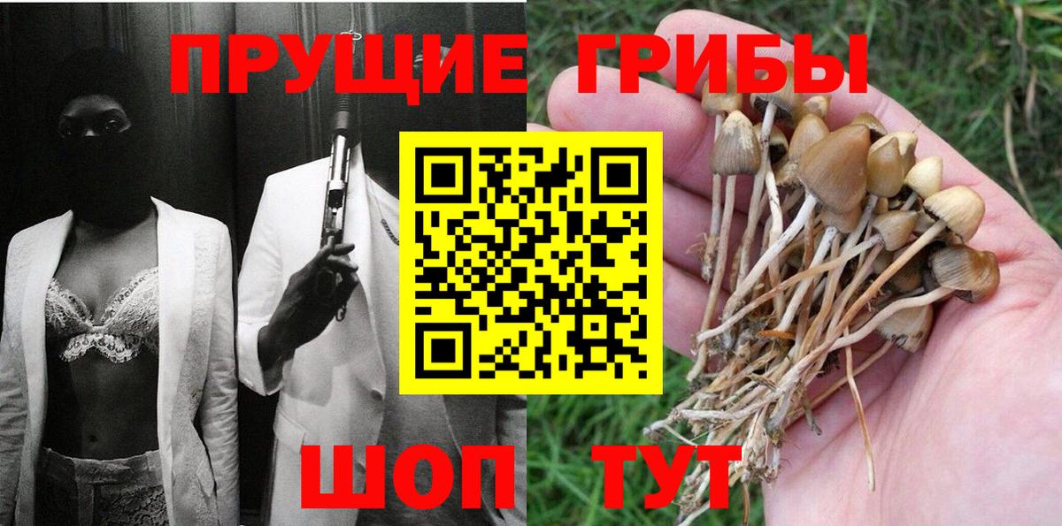 Ханты-Мансийск  Галлюциногенные грибы Psilocybe  Вход с VPN 
